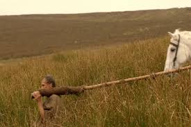 The following are some modern and traditional tamil boy names, find one for your child. English To Tamil Meaning Of Grass English Tamil Net