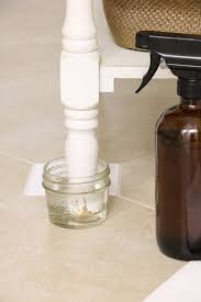 What removes cat urine smell. How To Get Rid Of Cat Urine Smell Life On Summerhill