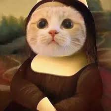 Aici gasesti o colectie impresionanta de imagini si poze cu animale, fotografii cu animale, animale salbatice, domestice, caini, pisici, delfini, lei, tigrii, arici, maimute, elefanti, cai. Animale Haioase Poze Funny