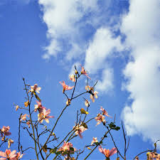 Check spelling or type a new query. I Just Want To Be Happy Again Idk Single By Brian Tuey Spotify