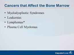 Stem cells in your bone marrow mature and develop into three types of blood cells: Cancers Of The Bone Marrow A Clinical Perspective Ppt Download