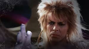 David Piel's Instagram, Twitter & Facebook