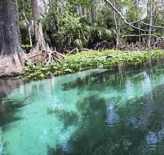 Silver springs state park is open seven days a week. Silver Springs Kayaking Exquisite River Among Best In State