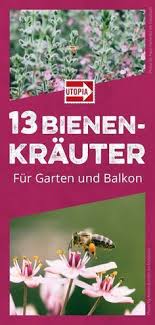 13 Bienenfreundliche Krauter Fur Garten Und Balkon Utopia De In 2020 Bienenfreundliche Pflanzen Bienenfreundlicher Garten Bienen