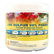 When the buds grow larger and swell, but before they open, spray again. Lime Sulfur Sulphur 99 Pesticide Fungicide Powder 500g Noah Garden Centre