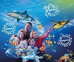 Sea Life Istanbul Da 25 Indirim Garanti Bonus