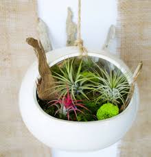 Las cestas colgantes con plantas de flor es un magnífico recurso decorativo para el porche, la terraza o el balcón de nuestra casa. Plantas Colgantes Ideas Para El Interior