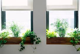 Hydrangeas are easy to mix with some simple green foliage plants for a stunning window box look. The Sill Terrain Planting A Window Box The Blog At Terrain Terrain