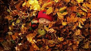 We did not find results for: Photoshoot Ideas November Baby Names November Baby November Baby Photo Ideas