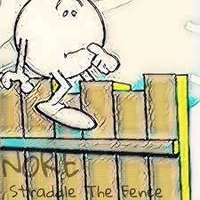 It was very unsettling seeing how many poisonous species they found. Stream Nore Straddle The Fence Prod 1smackz By The Nore Nigga Listen Online For Free On Soundcloud