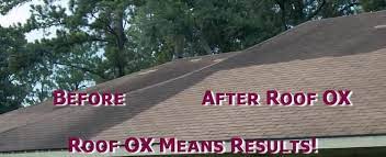 If so, you might understandably assume that you have a bad case of roof mold. Roof Mold Cleaner Ox Safe Roof Mold Cleaner And Fungus Removal