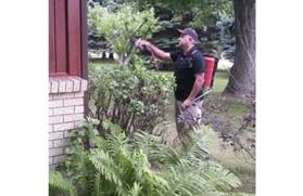 Maybe you would like to learn more about one of these? Blackhawk Pest Control 5903 Bow Trl Rockford Il 61109 Yp Com
