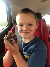 Rocks found at Kingwood Library and Oaks Elementary Park