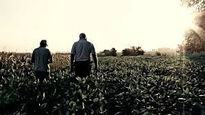 This is le grain et l'ivraie by fred florey on vimeo, the home for high quality videos and the people who love them. Critique Film Le Grain Et L Ivraie Abus De Cine