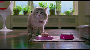 En route pour la fête de. Ma Vie De Chat 2016 Vostfr Youtube