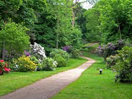 Sheringham Woods Uk Burst Into Colour In June Norfolk Coast Norfolk English Garden Design