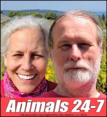 I shall return," Ric O'Barry tells Taiji after torture