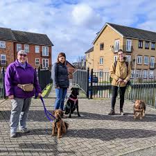 🐾 What a lovely social and wellbeing walkie this morning! 🐾 It was just a  small group, for our walk and cuppa weekday walkies but so lush. The dogs  did so so