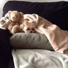 Jamie Channing (channingjamie) — Perfil