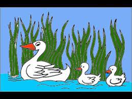 Tutorial mewarnai sungai dengan crayon 4 how to color with oil. 81 Gambar Bebek Berenang Kartun Hd Gambar Pixabay