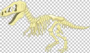 A collection of the top 25 cartoon dinosaur wallpapers and backgrounds available for download for free. Dinosaur Bone Cartoon Png Clipart 3d Dinosaurs Animal Carnivorous Cartoon Dinosaur Cute Dinosaur Free Png Download