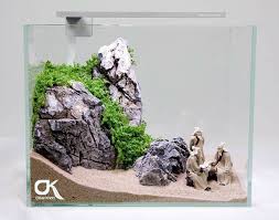 Oliver Knott Aquarium Landscape Aquascape Aquascape Design