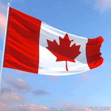 Find images of canadian flag. Canada Flag Gifs Get The Best Gif On Giphy