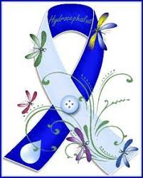 Hydrocephalus Ribbon Awareness Medical Tattoo Brain Aneurysm Survivor