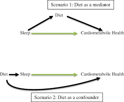 Sleep Diet And Cardiometabolic Health Investigations A