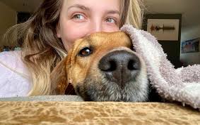 Greetings from Sacramento california. I am the creator of the brand pit  saver Productions. I go to the Stockton Animal Shelter and take dogs out  for some doggy Day Out Time and