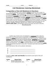 Displaying 8 worksheets for cell membrane coloring answer key. Phospholipid Another Type Of Lipid In The Cell Membrane Is Cholesterol That Course Hero