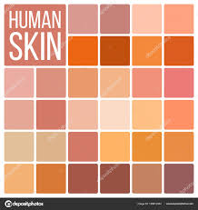 Human Skin Color Chart Human Skin Vector Various Body