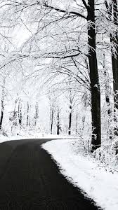 Download and use 40,000+ snow stock photos for free. 46 Iphone Winter Tree Wallpaper On Wallpapersafari
