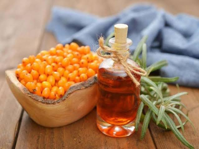 Tác dụng của hắc mai biển | Vinmec