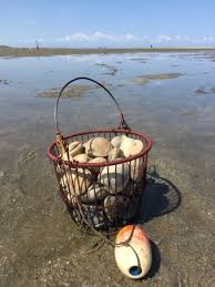 low tide review of saints landing beach brewster ma