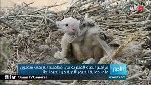 بيان أن هدفه هو حماية الحياة الفطرية في المملكة، بيان إجراءات إقامة المناطق المحمية، وكيفية حراستها، وتنظيم الدخول إليها، بيان عقوبات مخالفة النظام، وكيفية تطبيقها. Ù…Ø±Ø§Ù‚Ø¨Ùˆ Ø§Ù„Ø­ÙŠØ§Ø© Ø§Ù„ÙØ·Ø±ÙŠØ© ÙÙŠ Ù…Ø­Ø§ÙØ¸Ø© Ø§Ù„Ø¨Ø±ÙŠÙ…ÙŠ ÙŠØ¹Ù…Ù„ÙˆÙ† Ø¹Ù„Ù‰ Ø­Ù…Ø§ÙŠØ© Ø§Ù„Ø·ÙŠÙˆØ± Ø§Ù„Ø¨Ø±ÙŠØ© Ù…Ù† Ø§Ù„ØµÙŠØ¯ Ø§Ù„Ø¬Ø§Ø¦Ø± Youtube