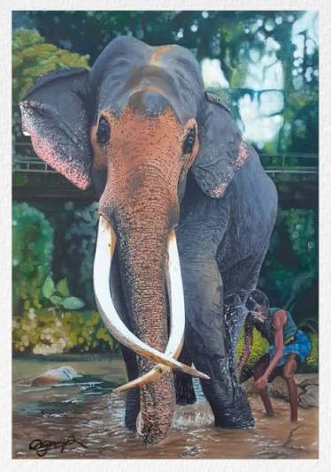 Nedungamuwa Royal tusker(Sri Lanka) - Viraj Art Studio - Paintings & Prints, Animals, Birds, & Fish, Elephants - ArtPal