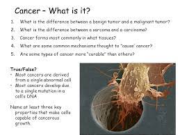 Sarcomas are rare — they make up just 1 percent of all cancers. Cancer What Is It 1 What Is The Difference Between A Benign Tumor And A Malignant Tumor 2 What Is The Difference Between A Sarcoma And A Carcinoma Ppt Download