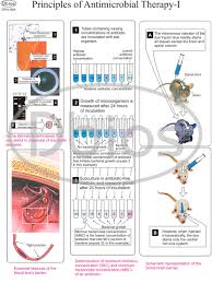 Pharmacology Charts Scientists For Classes Not Masses