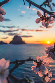 Ibiza Spain Beautiful Wallpapers Beautiful Nature Photography Wallpaper