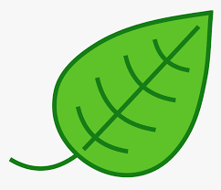 Here you can find the green pumpkin clipart image. Pumpkin Clipart Green Leaf Clipart Hd Png Download Transparent Png Image Pngitem