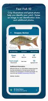 Current fishing seasons and closures (noaa website). Temperatures Fishing Action Transition With Summer Heat Anna Maria Island News