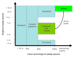 Image result for Dissotis johnstoniana
