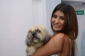 We always have a veterinarian on call for emergencies for pet that requires immediate medical attention. Kolkata Pets Get Their First 24 7 Private Critical And Veterinary Emergency Care Facility News