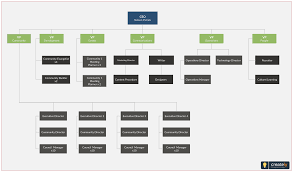 company org chart or company organizational chart template