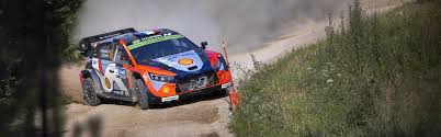 DirtFish - News update