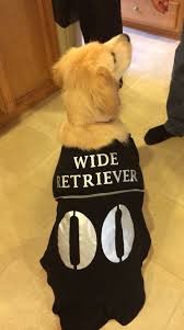 Wide Retriever Halloween Costume Golden Retriever Dog Halloween Costumes Pet Halloween Costumes Golden Retriever Halloween Costume