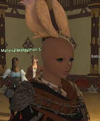 Deeply Disturbing Glitch That Occured When Changing My Viera's Hairstyle :  Ffxiv