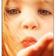 PATTI ANDRE PHOTOGRAPHY