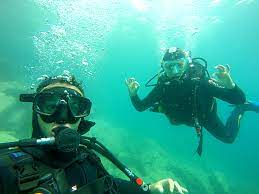 Millions of people have learned to scuba dive and gone on to discover the wonders of the aquatic world through this course. How To Get Padi Diver Certified For Free The Brit The Blonde